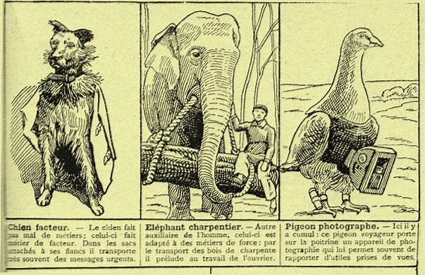 Rétro 1933 : Dans le monde des animaux curieux