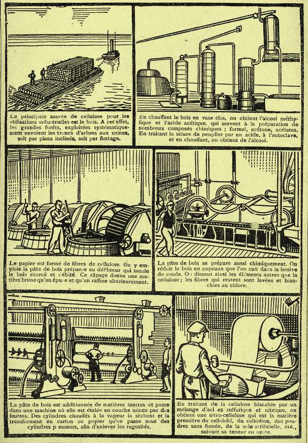 Rétro 1930 : La Cellulose, matière première précieuse