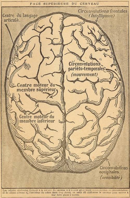 Rétro 1928 : Les mystères du cerveau (2/3)