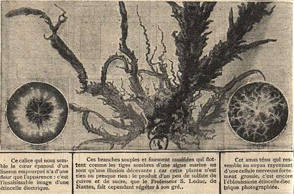 Rétro 1908 : La Nature bâtit en un seul plan