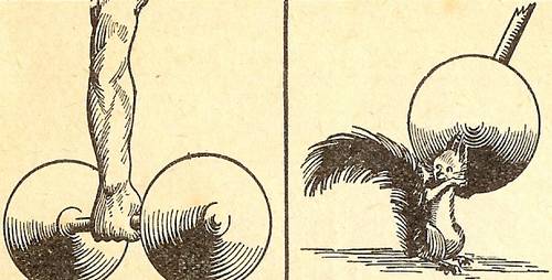 Rétro 1934 : Si l’homme changeait de planète… (2/2)