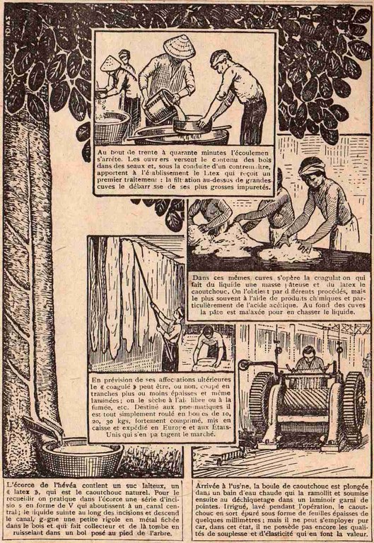 Rétro 1928 : Du caoutchouc pour les pneumatiques