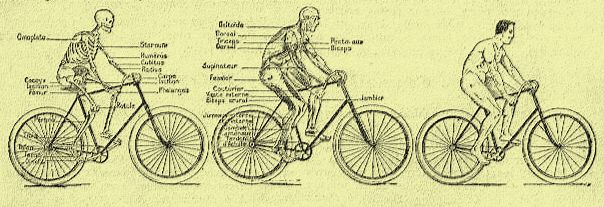 Rétro 1895 : Vélocipédie, la machine humaine
