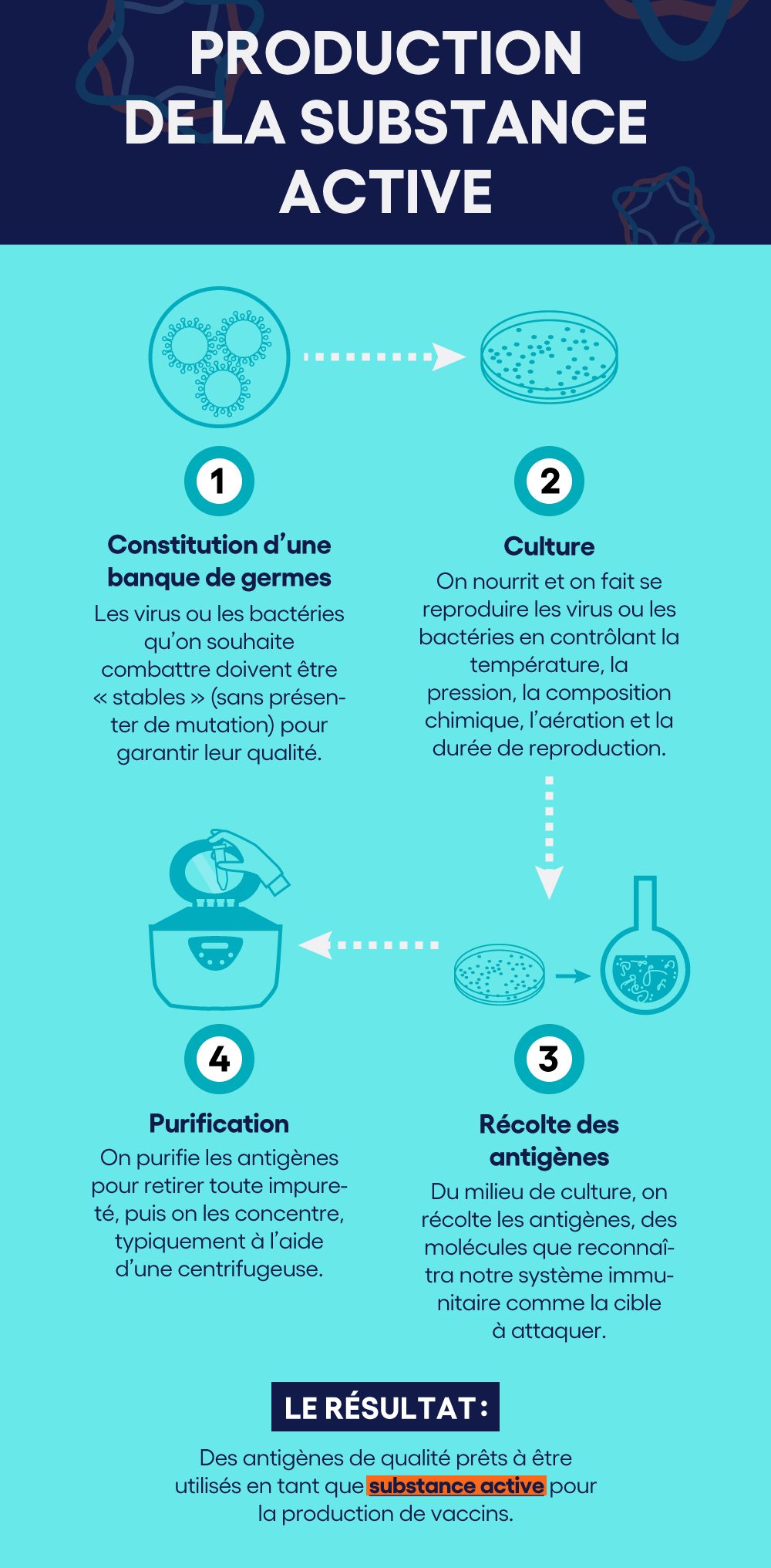 Les vaccins: des produits complexes à fabriquer