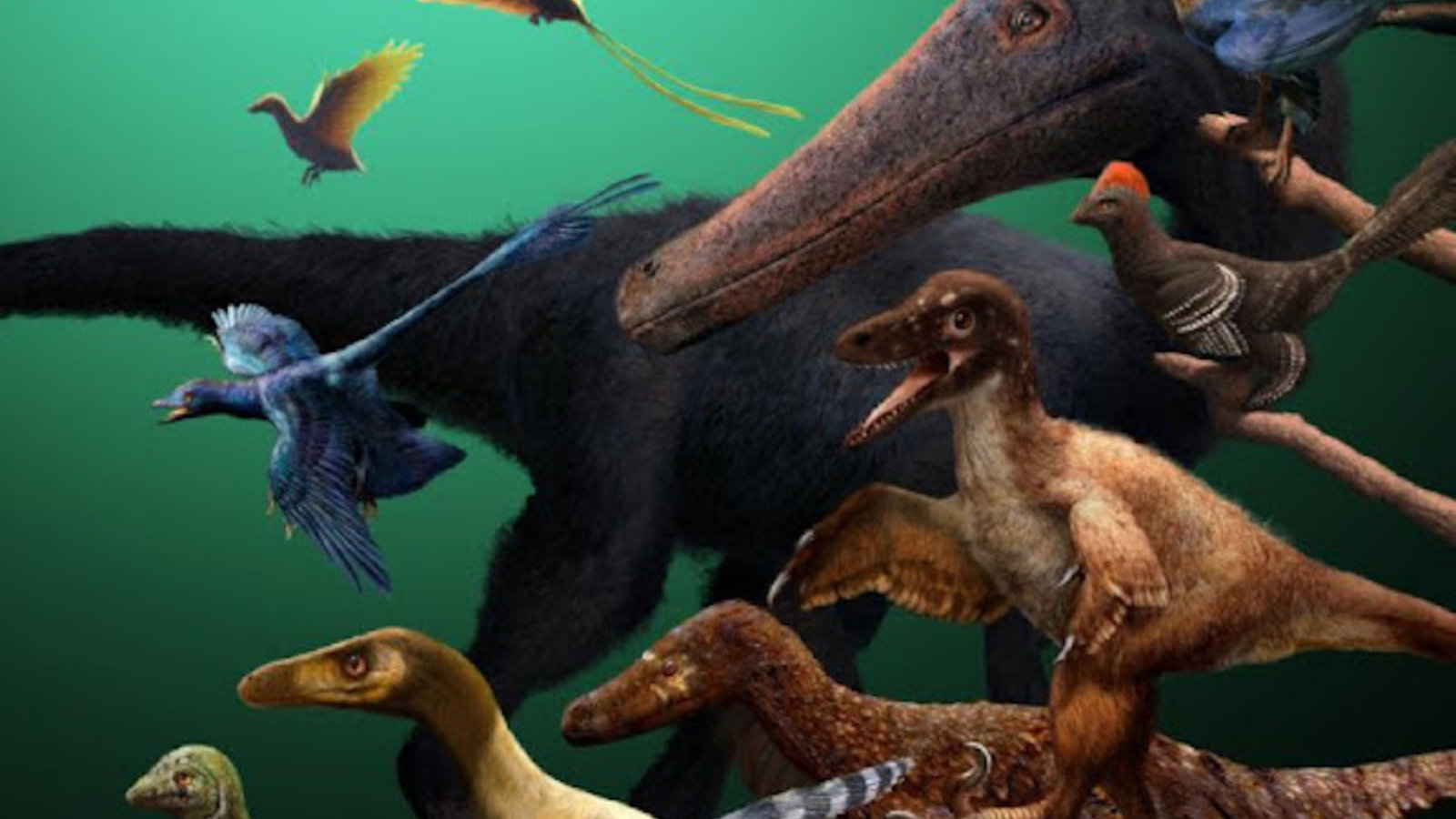 L’envol des dinosaures