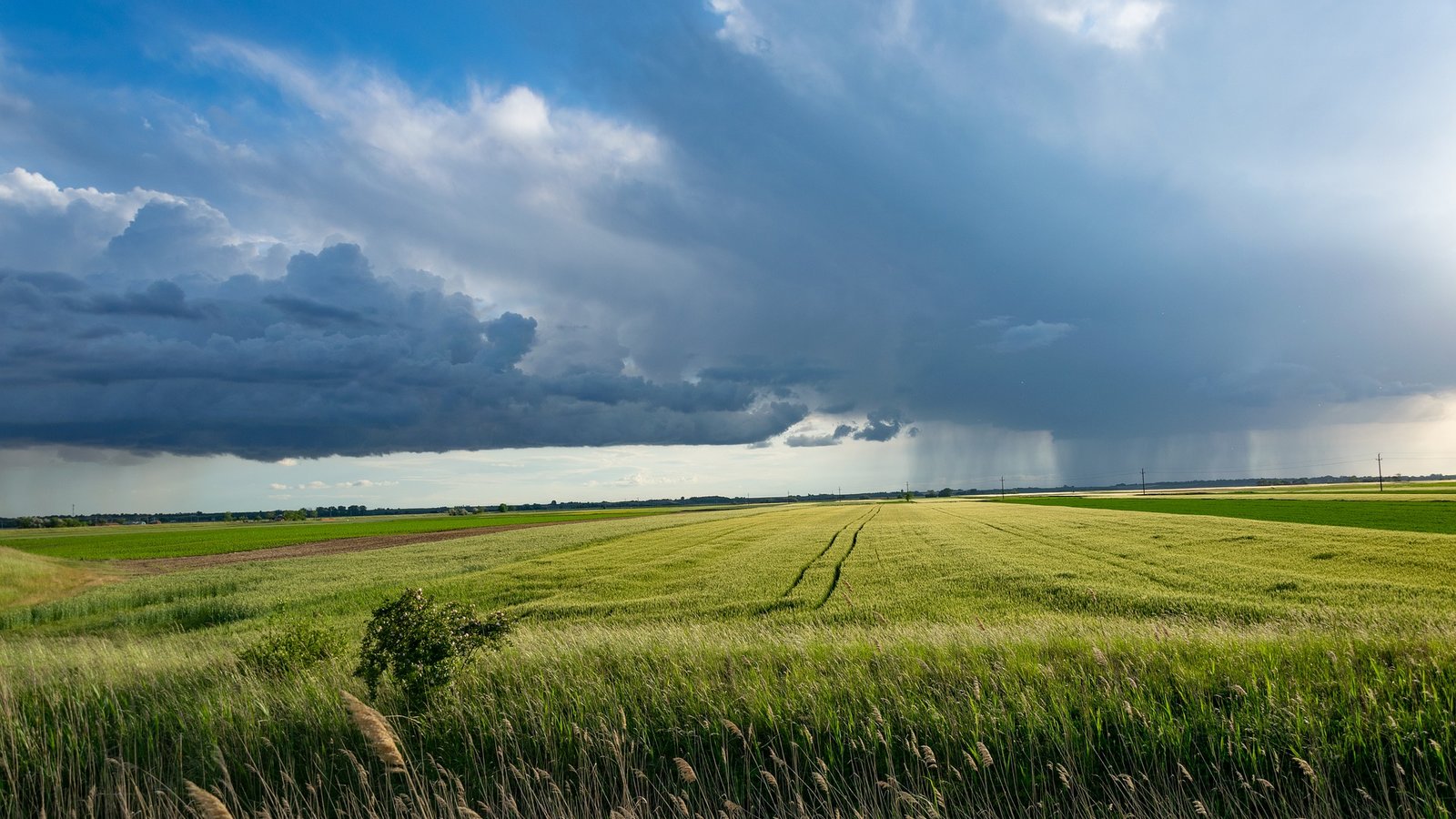 L’agriculture, responsable de changements climatiques ?