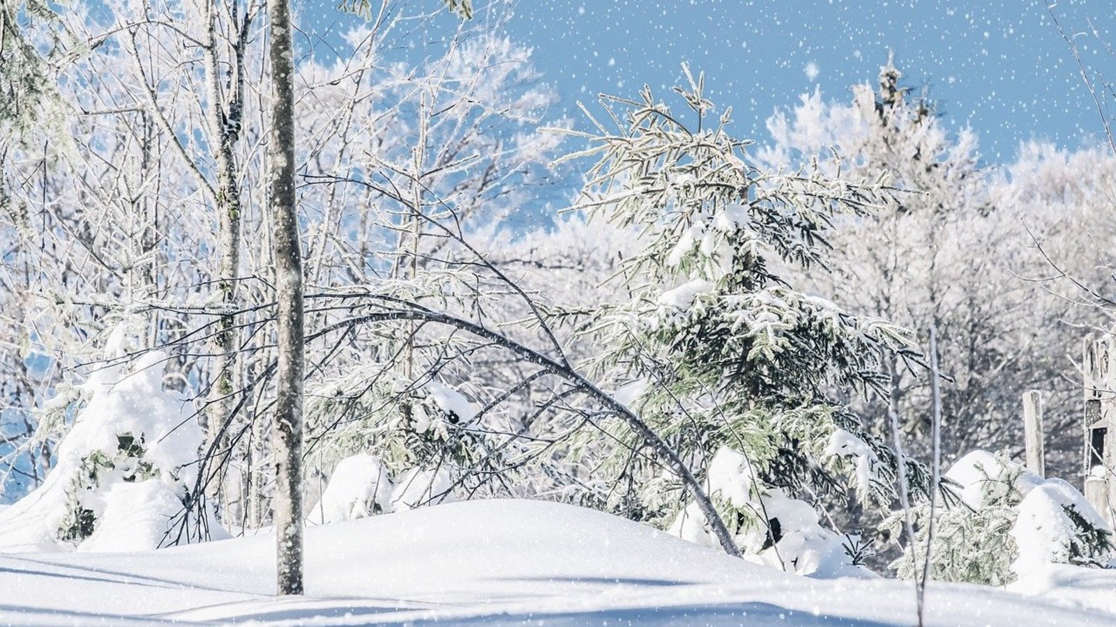L’hiver commence-t-il vraiment le 21 décembre ?