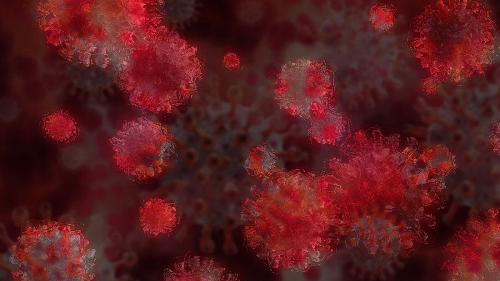 Nouveaux variants du coronavirus: sont-ils vraiment plus mortels ?