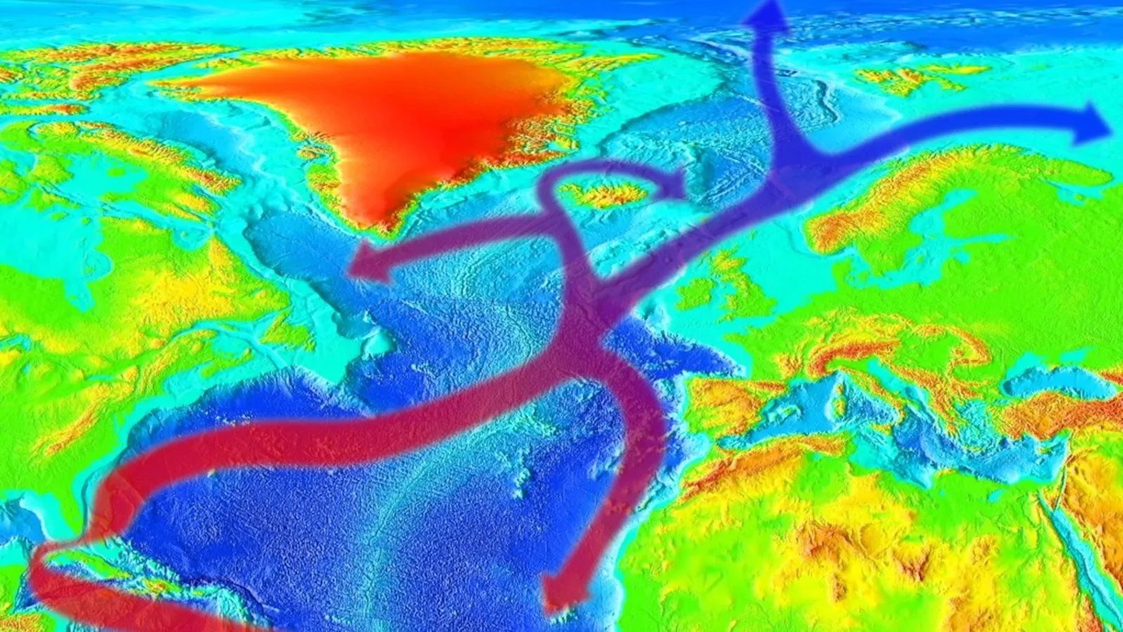 Les malheurs du Gulf Stream