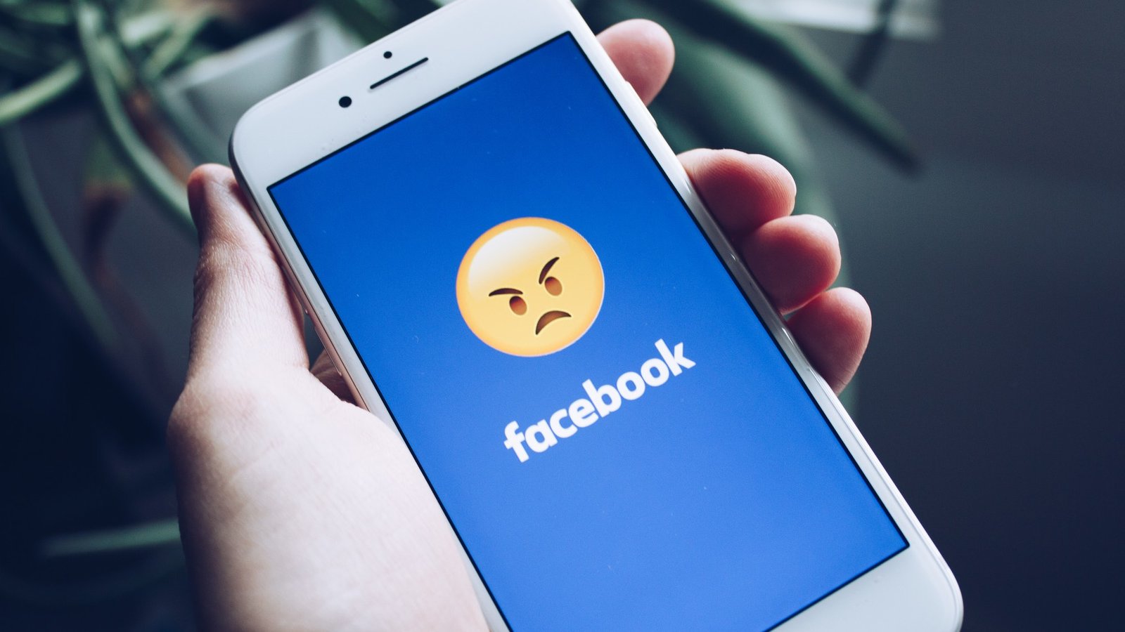 Fausse nouvelle sur la COVID, gros succès pour Facebook