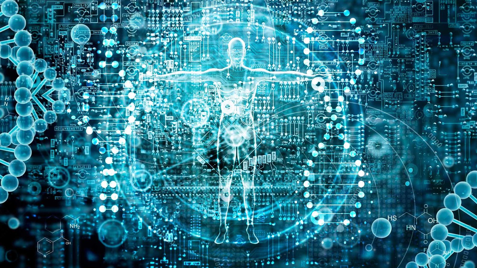 Les gènes d’un cerveau plus gros