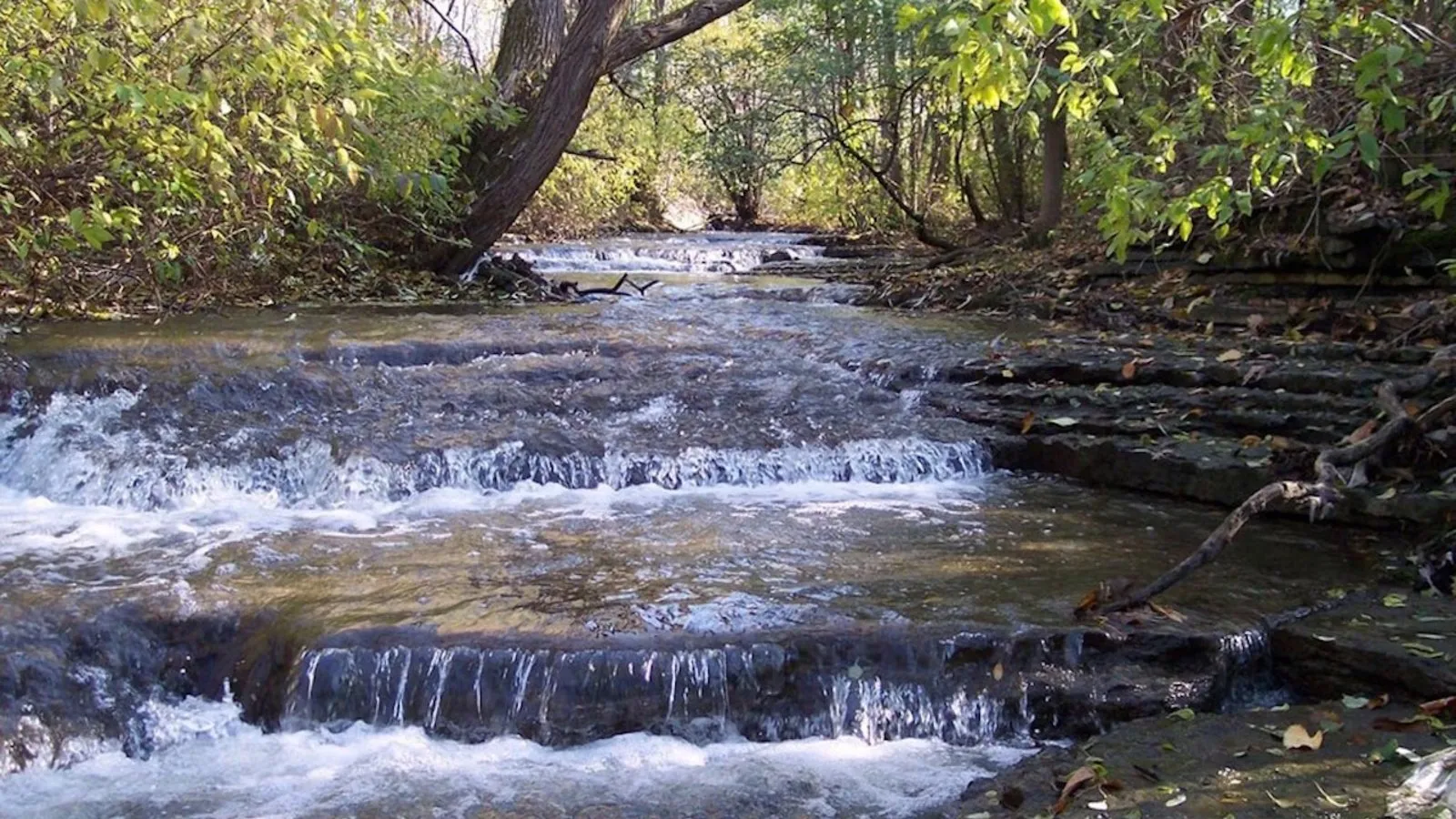 Lorsque l’eau ne va plus à la rivière
