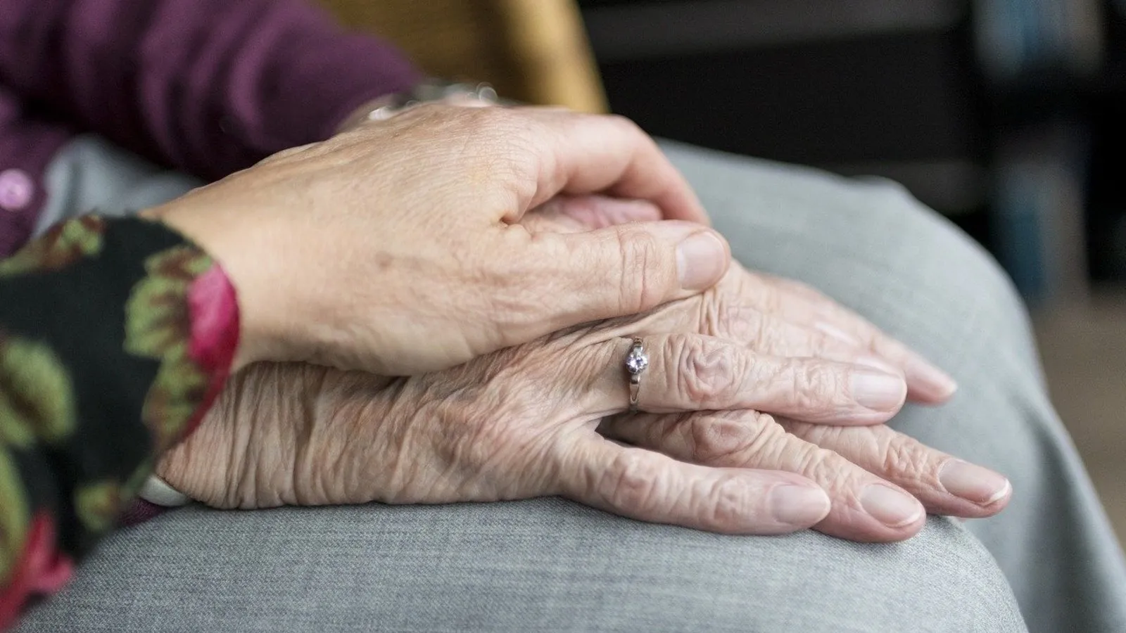 La protéine des centenaires: vers un traitement pour prolonger la vie ?