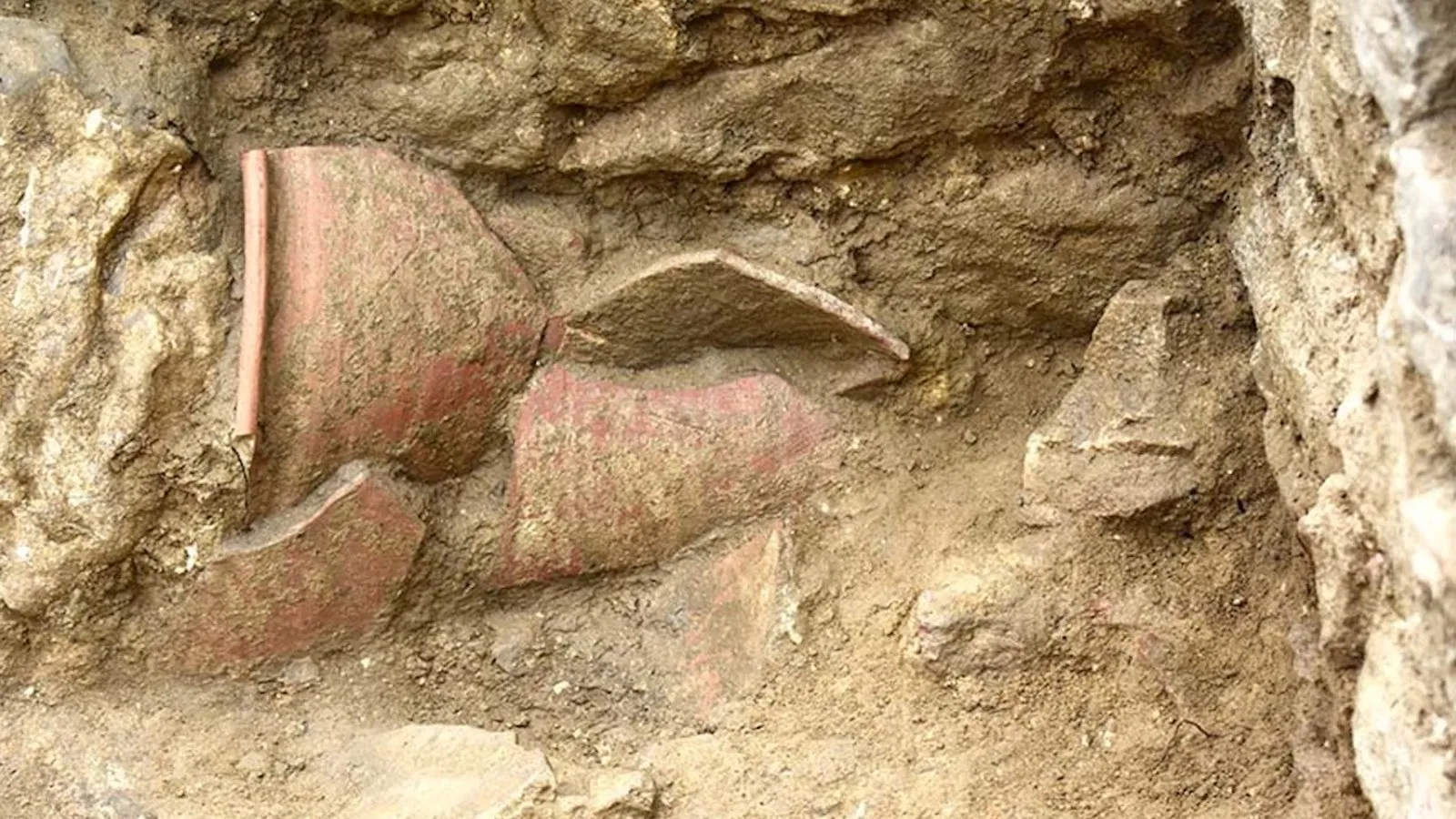 Un trésor intestinal vieux de 1500 ans