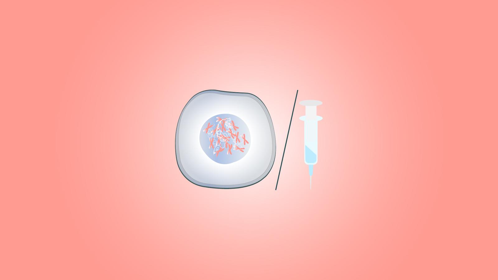 Non, un vaccin à ARNm n’est pas une thérapie génique