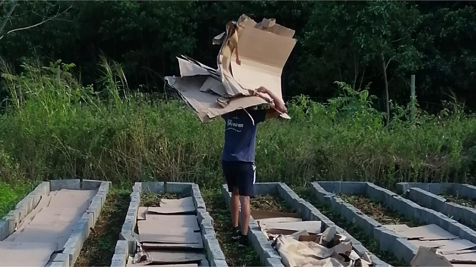 Jardinage: le carton pour se débarrasser des mauvaises herbes ? Ça dépend