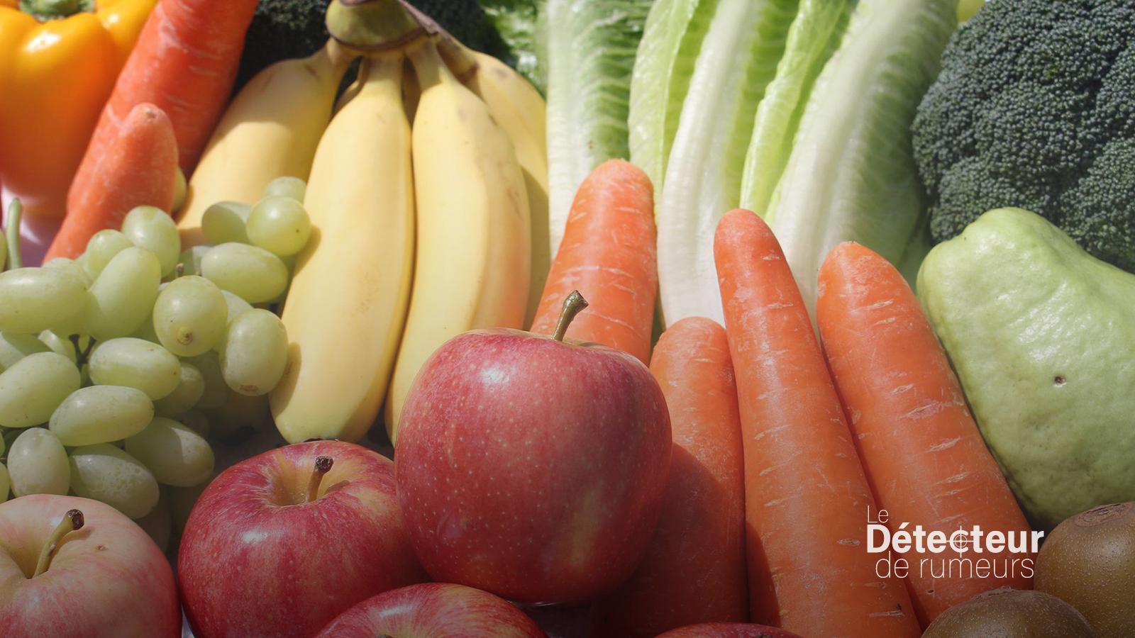 Est-il vrai que manger 5 portions de fruits et légumes par jour améliore significativement sa santé ?