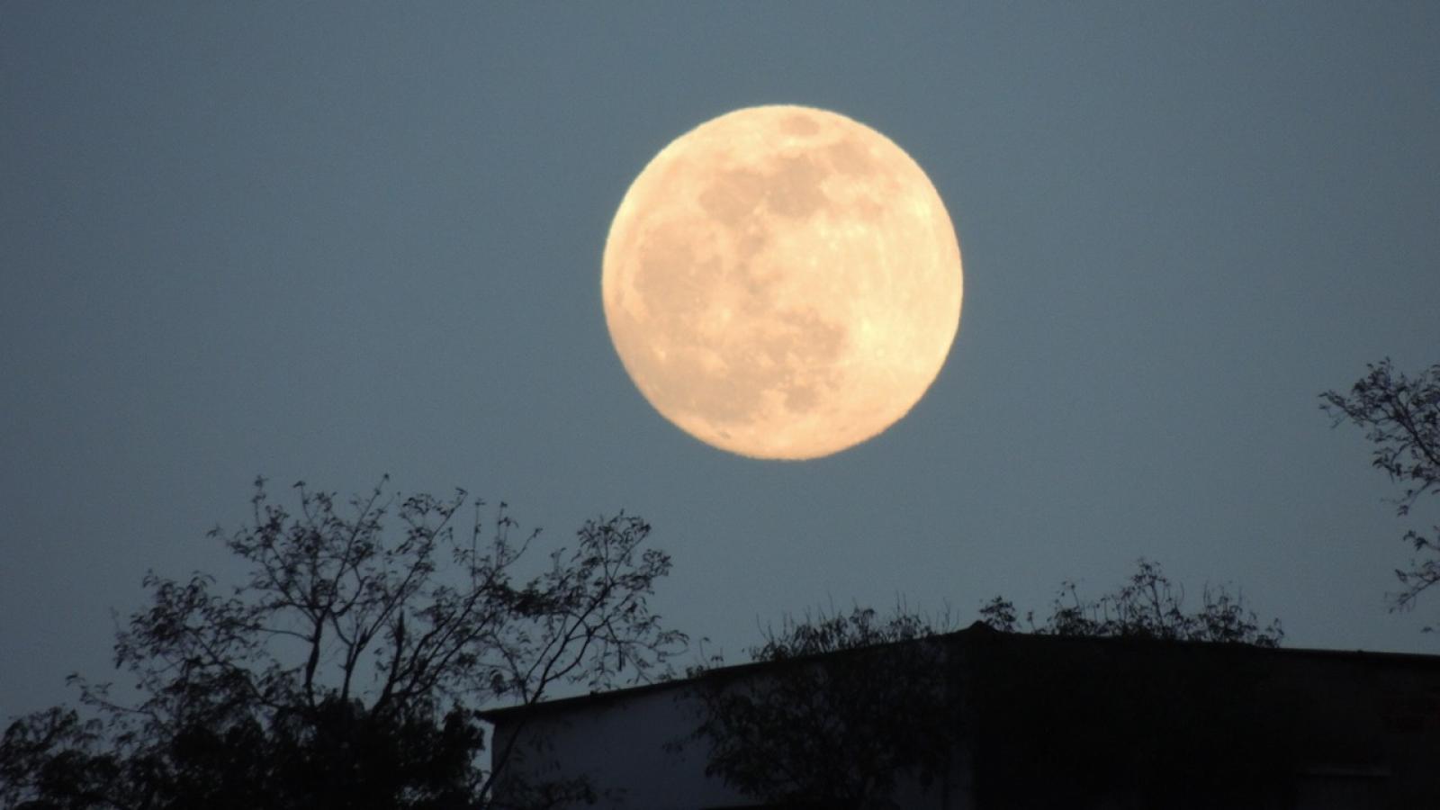 Semer à la pleine lune: meilleure croissance des plantes ? Faux