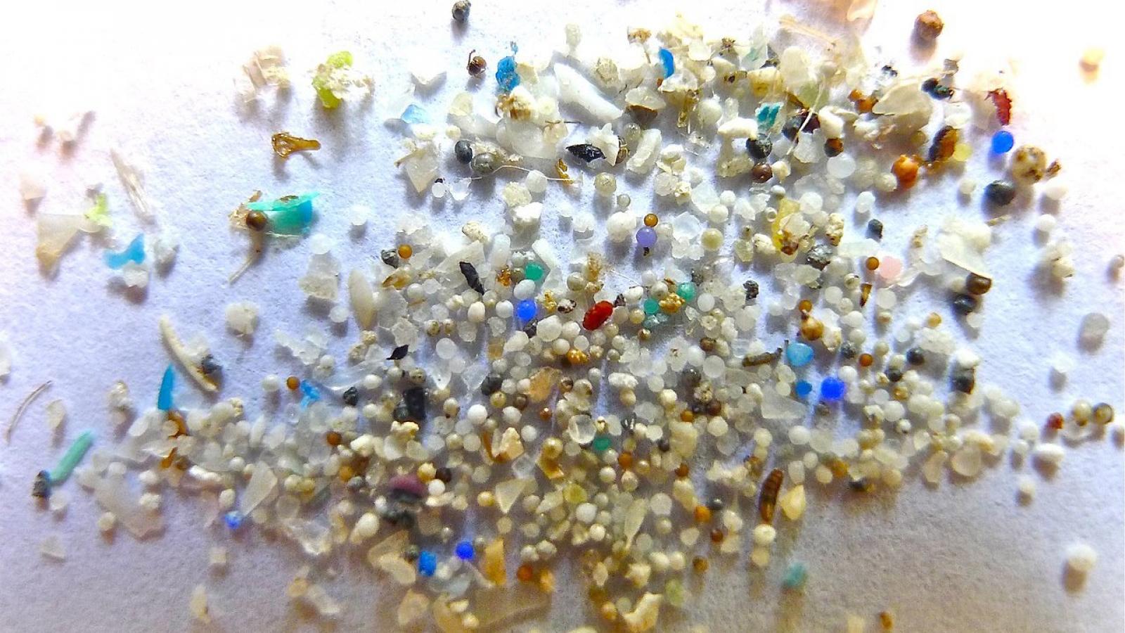 ⚠️ Cancer de la prostate: un grand nombre de microplastiques retrouvés dans les tumeurs