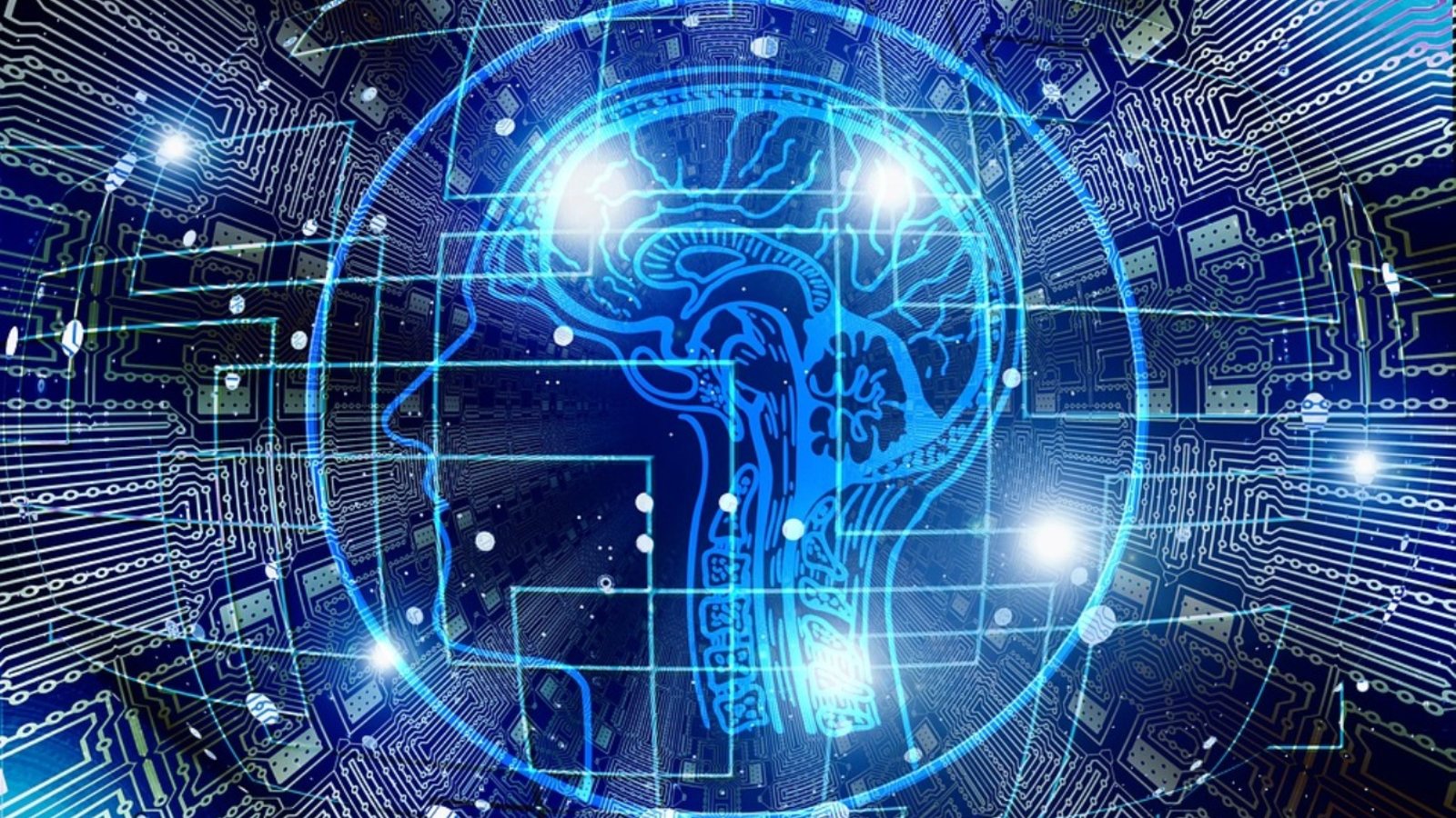 Découverte d'un fonctionnement numérique de notre cerveau: l'impact en IA