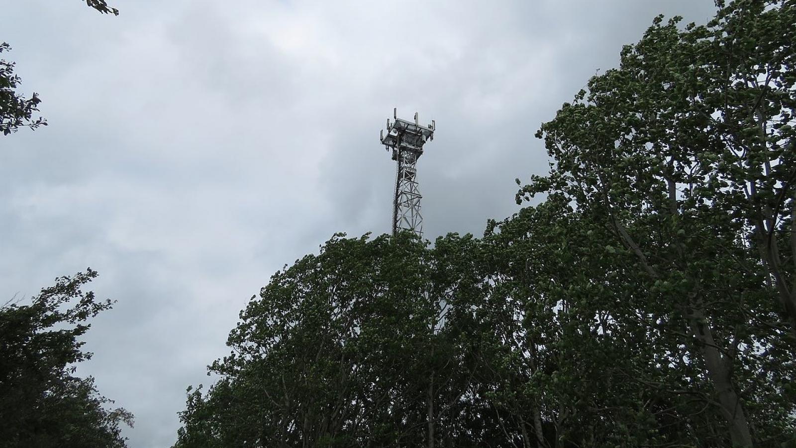 Les ondes 5G augmentent-elles le risque de diabète ?