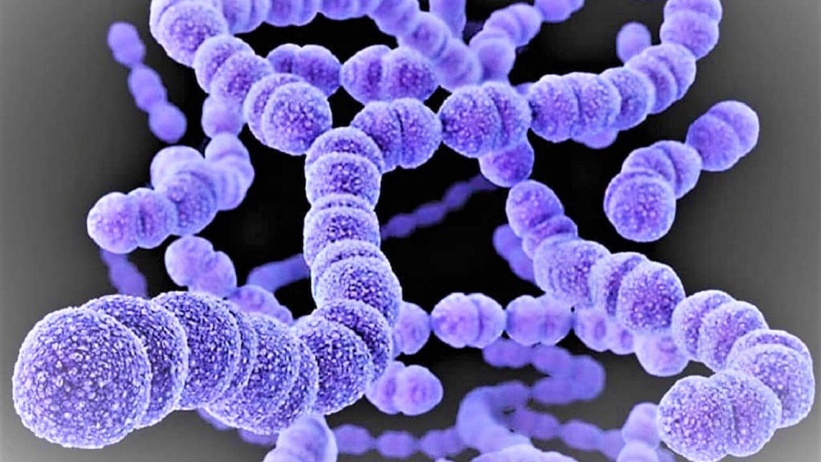 Comment les bactéries propagent-elles leur résistance aux antibiotiques ?