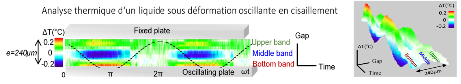 Observation expérimentale d'un effet thermoélastique dans un liquide