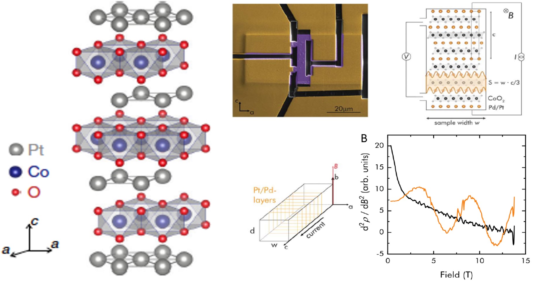 Effet de désordre contrôlé par irradiation sur la conductivité électrique balistique des delafossites