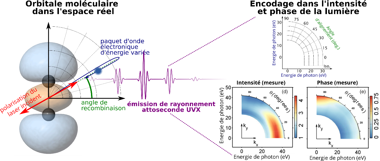 Cartographie bidimensionnelle d'orbitales moléculaires à l'échelle attoseconde