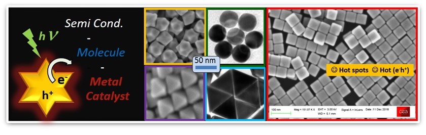 Synthèse à façon de nanoparticules d'or hybrides et leurs multiples applications