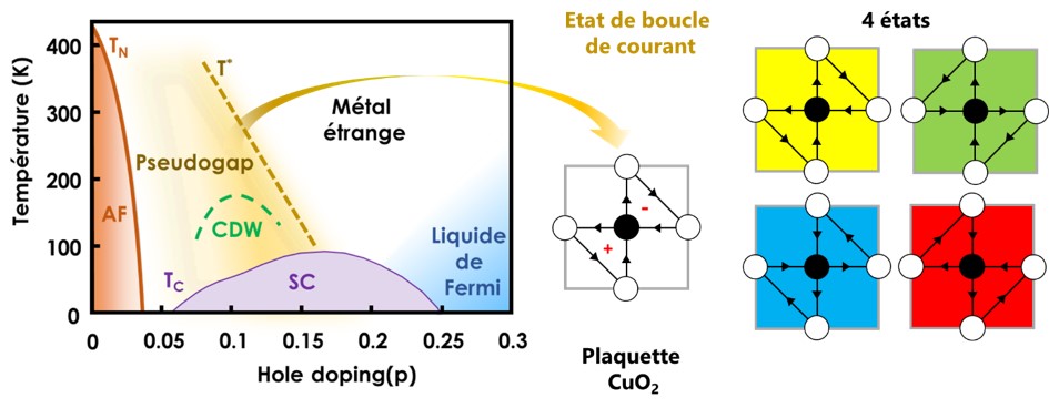 Quel mécanisme à l'origine de la supraconductivité à haute température critique ?