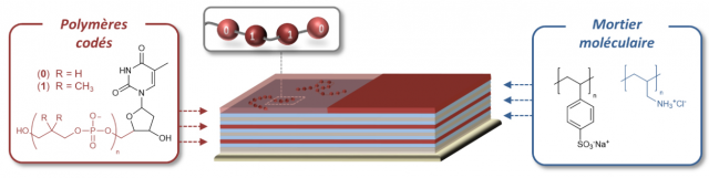 Un millefeuille nanométrique pour un stockage 3D de l’information