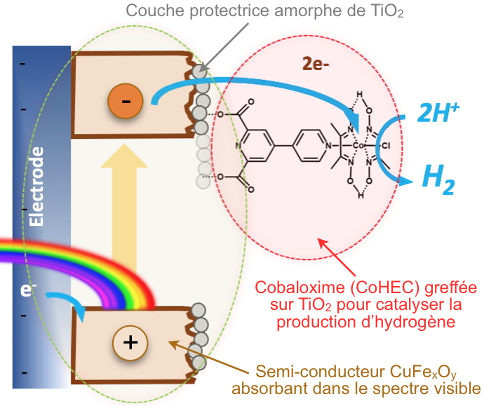 Photosynthèse artificielle: hybrider molécules et matériaux pour la production d'hydrogène