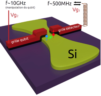 Le spectre des trous hante les qubits