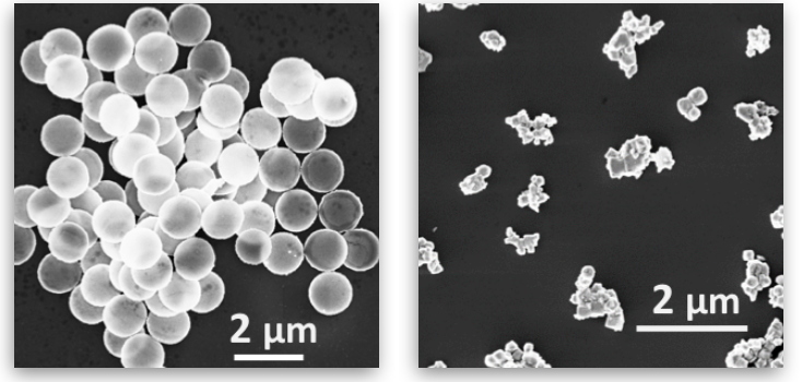 Vers de nouveaux traitements anti-cancéreux grâce à l’utilisation de microparticules magnétiques ?