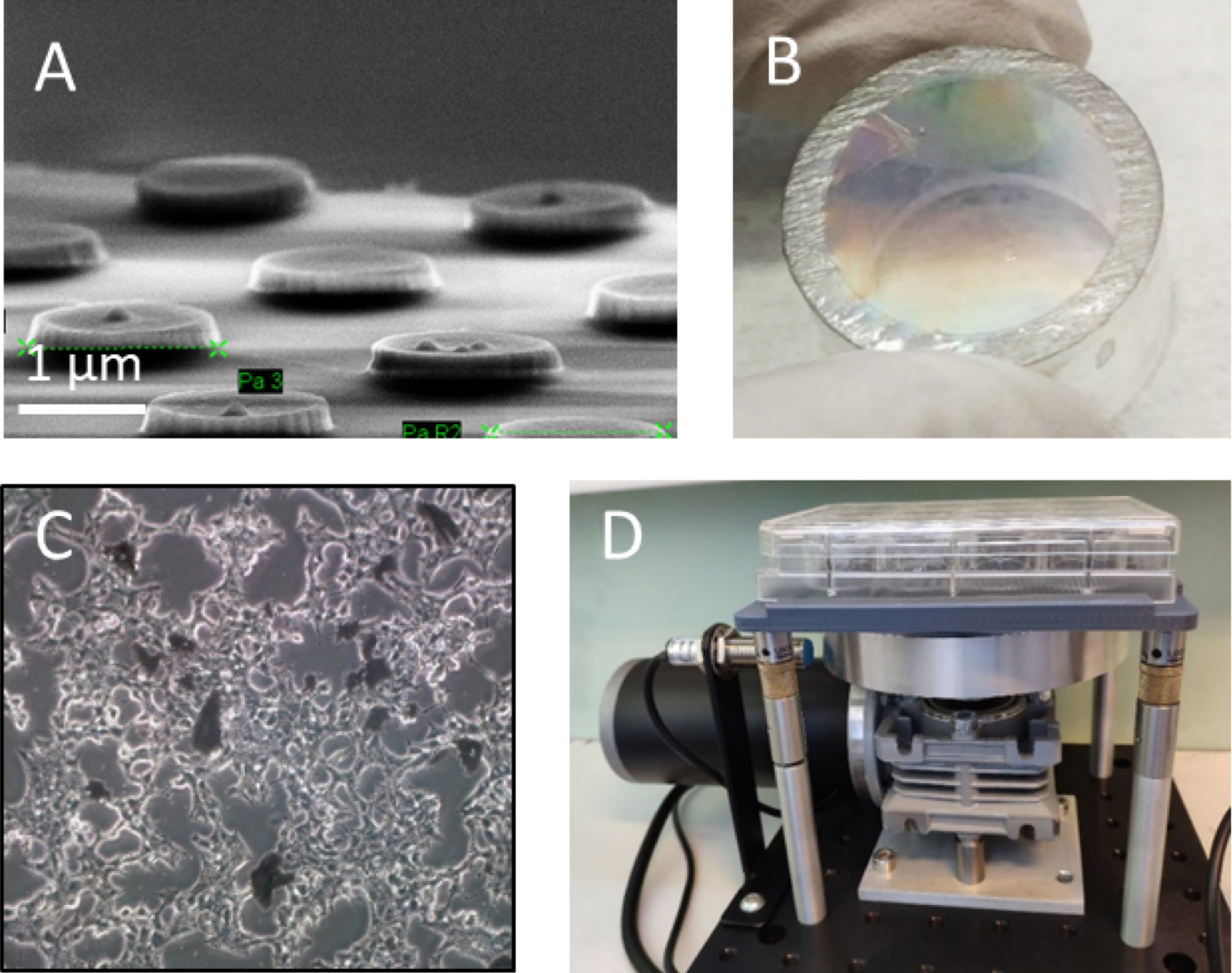 Traitement du diabète: des microparticules magnétiques pour stimuler la sécrétion d’insuline