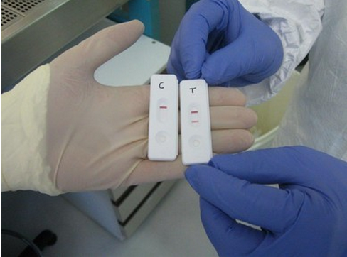 Ebola, un test de diagnostic en moins de quinze minutes sur le terrain