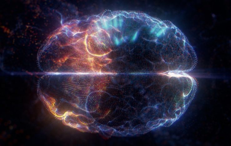 Pourquoi le cerveau consomme-t-il 20% de l'énergie du corps pour 2% de sa masse ?