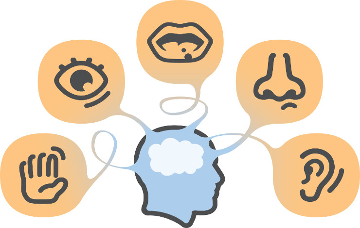 Inférence causale et ordre temporel: comment le cerveau traite le flot d’informations sensorielles