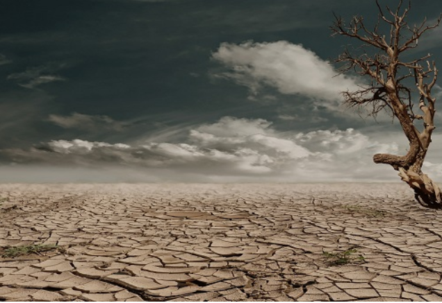 Les chercheurs explorent les causes des variations des émissions de CO2 dans l’atmosphère