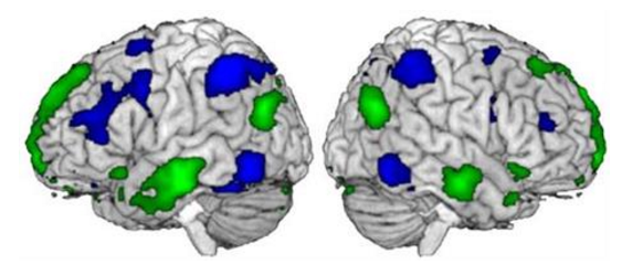 Un réseau mathématique dans le cerveau