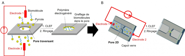 Une CLEF sans contact pour fonctionnaliser des micro- et nanopores