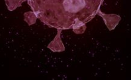 Détection de SARS-CoV-2: la spectrométrie de masse montre son potentiel de rapidité