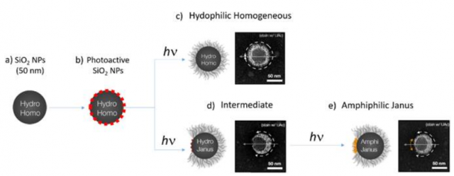 Procédé photochimique d'élaboration de nanoparticules bi-fonctionnelles