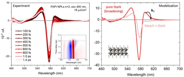 Dynamiques de relaxation ultrarapides dans les nanostructures colloïdales de pérovskite