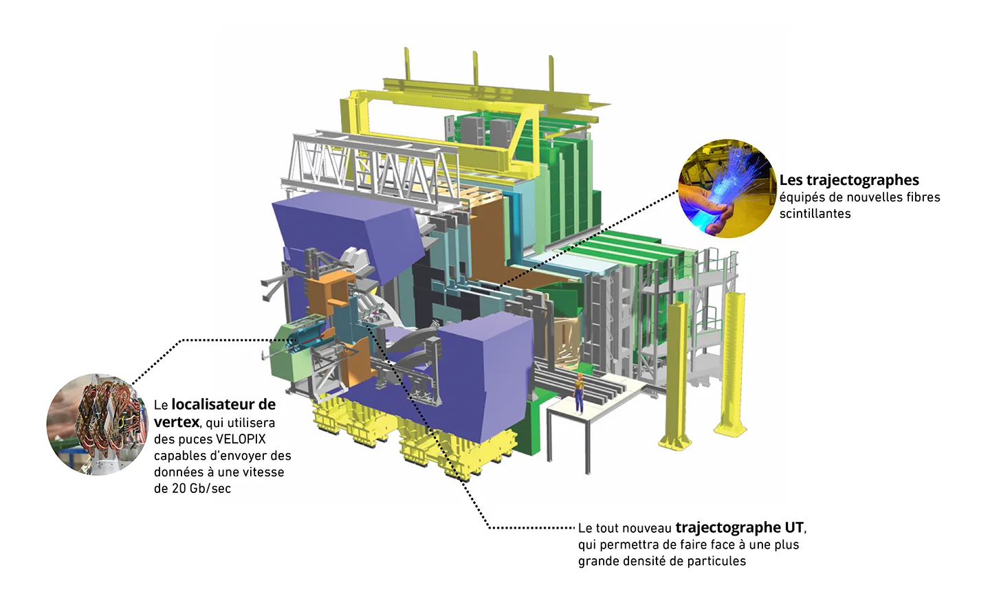 Métamorphose de LHCb: le menu des deux prochaines années