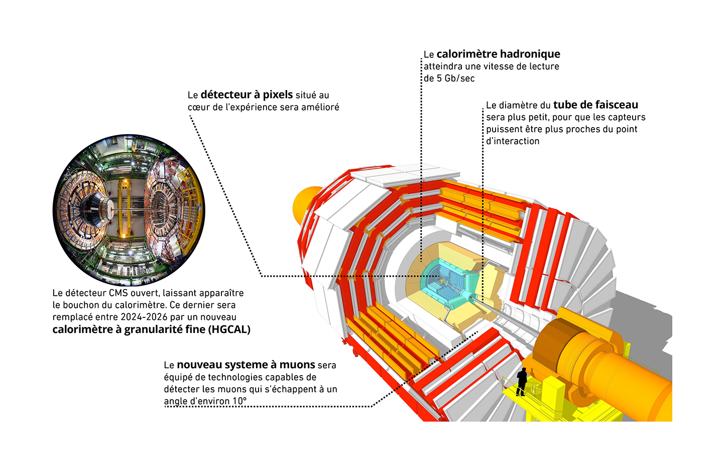 LHC: Que réservent les deux prochaines années pour CMS ?