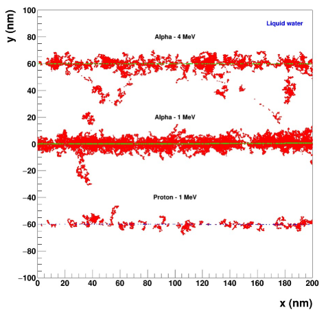 Comprendre les mécanismes fondamentaux des dommages biologiques par radiations ionisantes