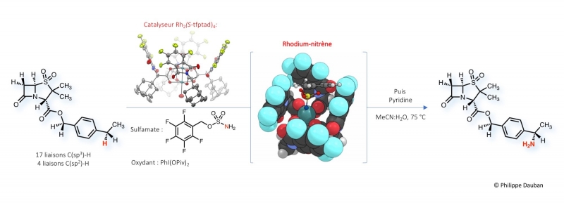 Amination en 3D: une stratégie asymétrique pour fonctionnaliser des molécules bioactives