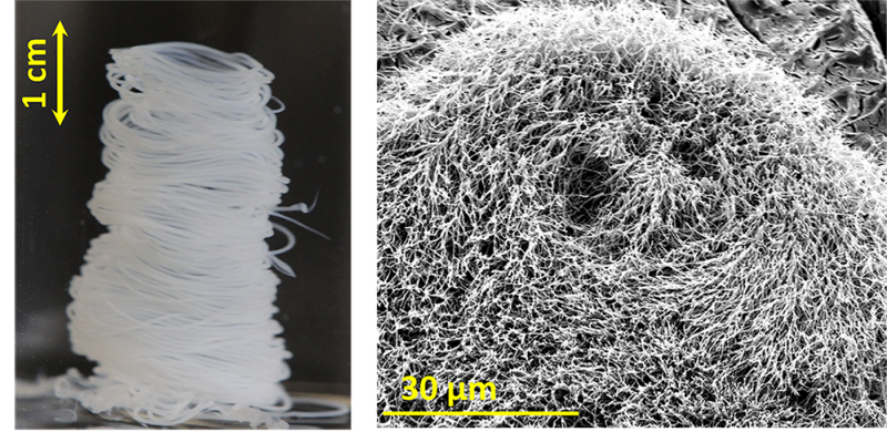 Spaghettis supramoléculaires: une nouvelle méthode pour le filage d’hydrogels fragiles